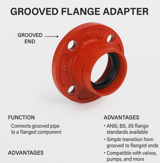 Mặt Bích Chuyển Đổi Rãnh (Flange Adapter)
